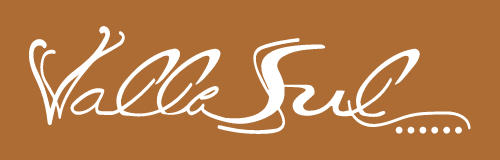 viação Vallesul Vallesul